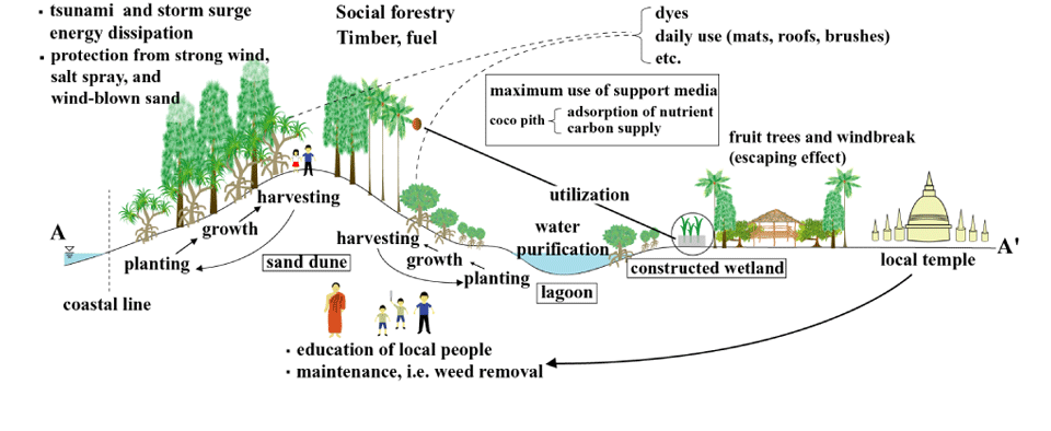 海岸林の持続的管理に向けての提案図１