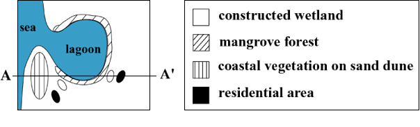 海岸林の持続的管理に向けての提案図２