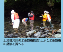 上流域河川の水生昆虫調査：出水と水生昆虫の動態を調べる