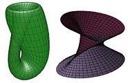 A Klein bottle and the discriminant set of quartic polynomials.
