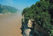 The Yangtze River contaminated by severe water pollutants.
