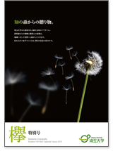 欅 特別号 Vol.1 (2011)