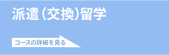 派遣(交換)留学