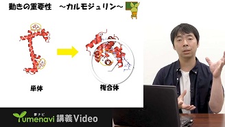 生体分子の動きを観る！