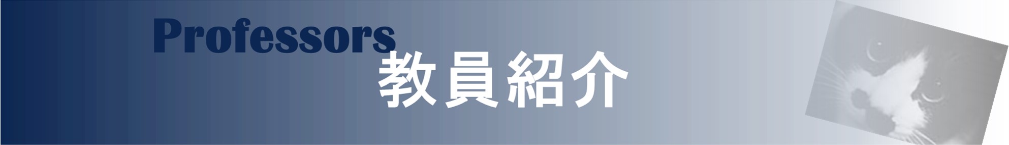 埼玉大学教育学部　自然科学講座理科分野　物理学研究室