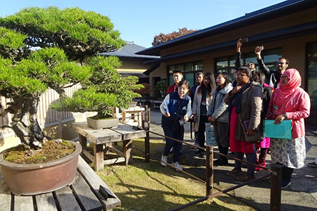 大宮盆栽美術館