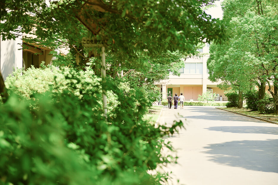 埼玉大学キャンパス内の一コマ。両側に緑茂る道を男子学生3人が歩いている。