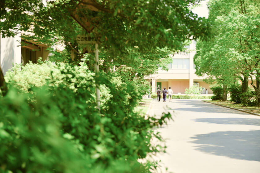 埼玉大学キャンパス内の一コマ。両側に緑茂る道を男子学生3人が歩いている。