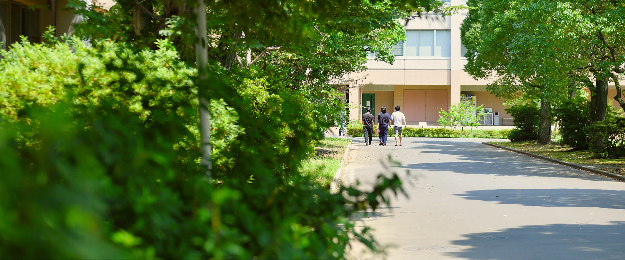 埼玉大学キャンパス内の一コマ。両側に緑茂る道を男子学生3人が歩いている。