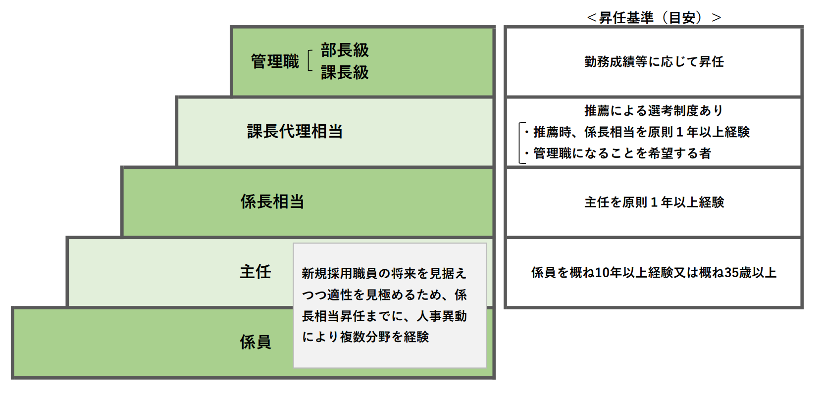 キャリアパスイメージ