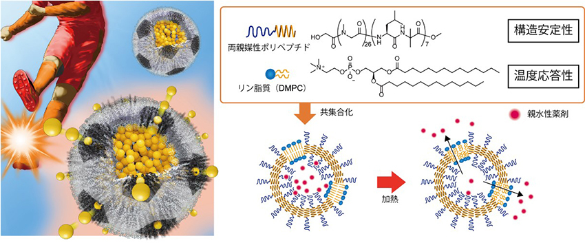 図 加熱により内包分子を脂質ゲートから放出するナノカプセル