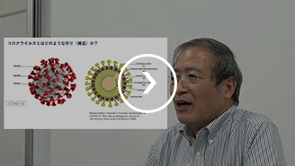 ラクダ科抗体（VHH抗体）がコロナウイルスを攻撃する